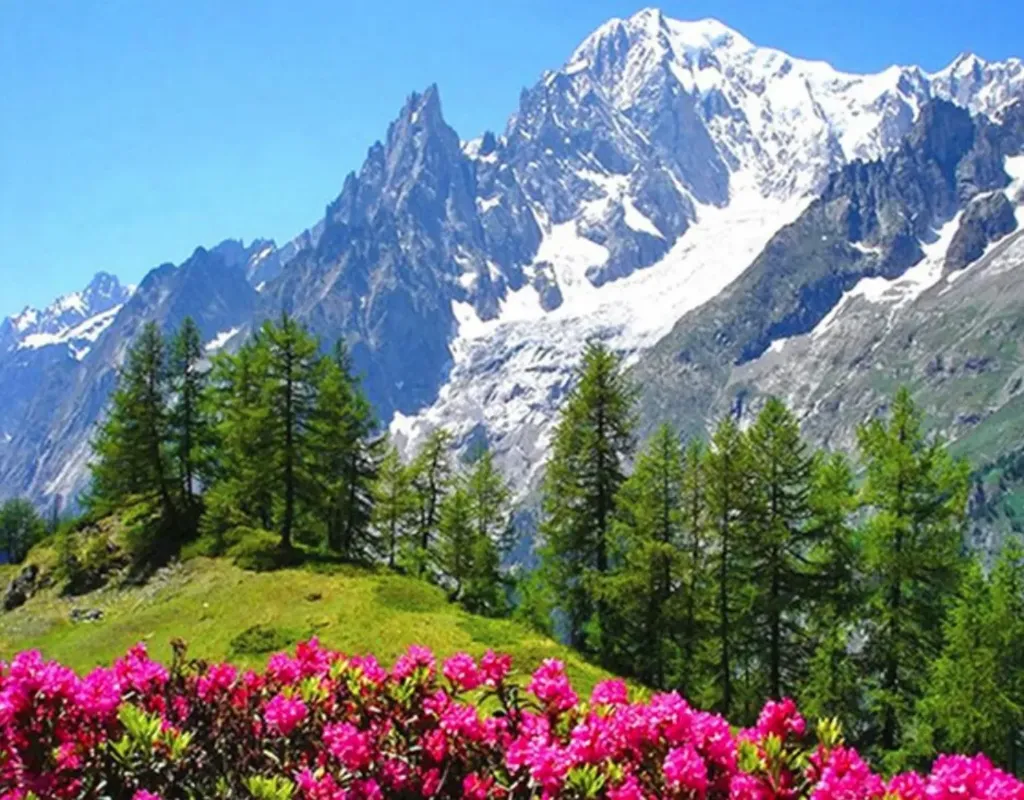 Cross Stitch Needlework Embroidery Kit | Mountain Flowers (30x40cm Printed Canvas)